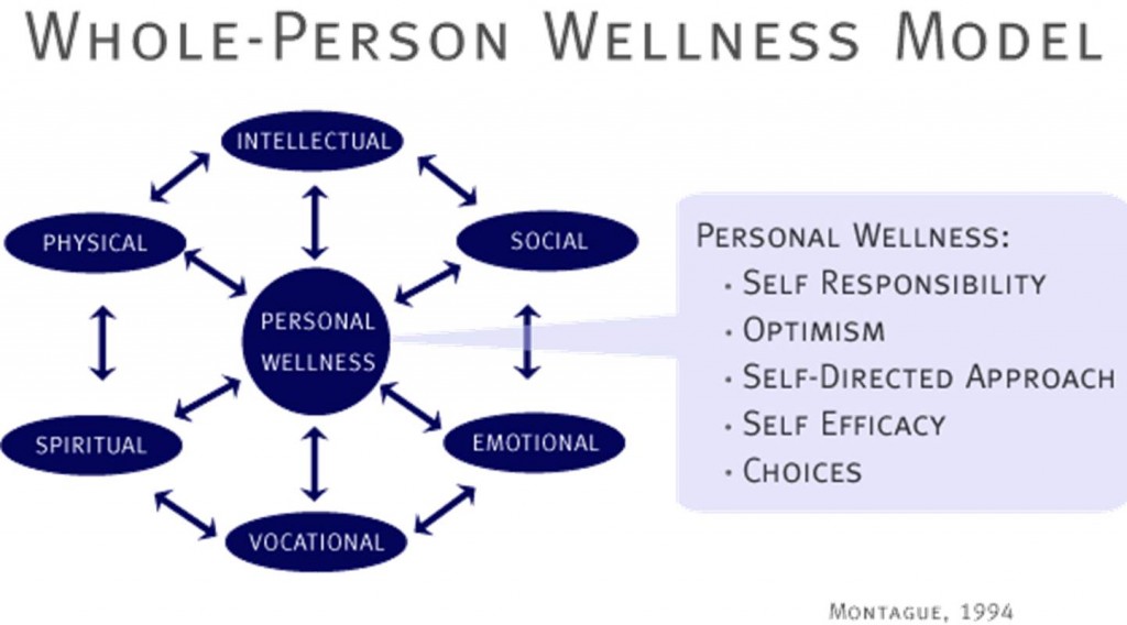 Whole Person Wellness Model