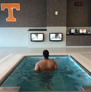 Tennessee2015crop