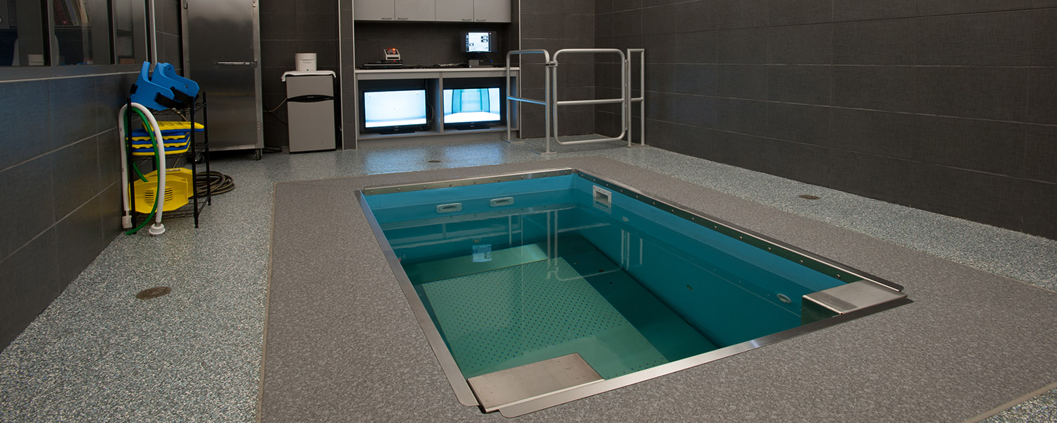 HydroWorx clean therapy facility