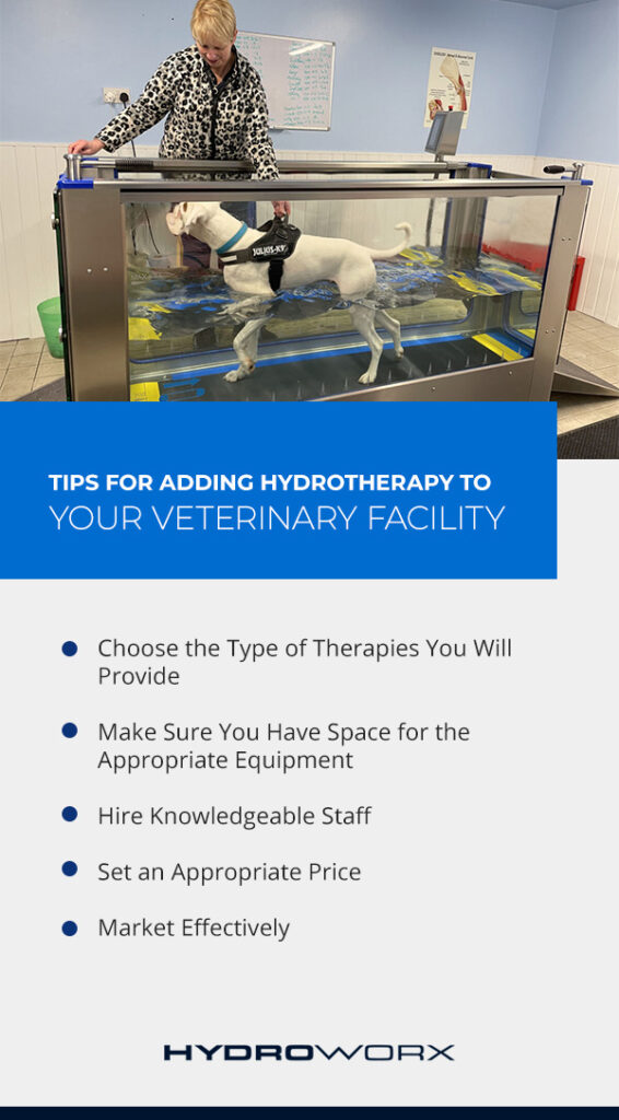 How to add hydrotherapy to your veterinary facility