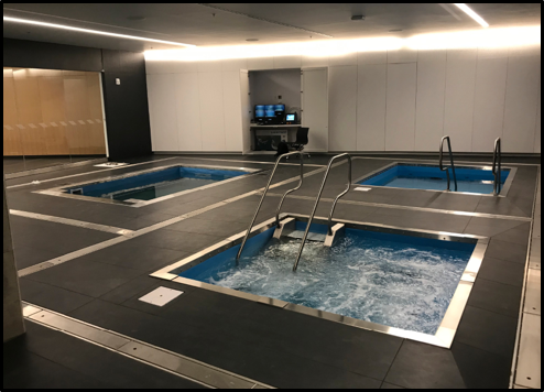 Custom Plunge Pool Room