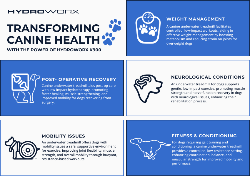 The image is an infographic by HydroWorx showcasing the benefits of the K900 underwater treadmill for dogs. It highlights the device's impact on canine health, including post-operative recovery, weight management, mobility issues, neurological conditions, and fitness & conditioning. Each benefit is paired with an icon illustrating the specific use case.






