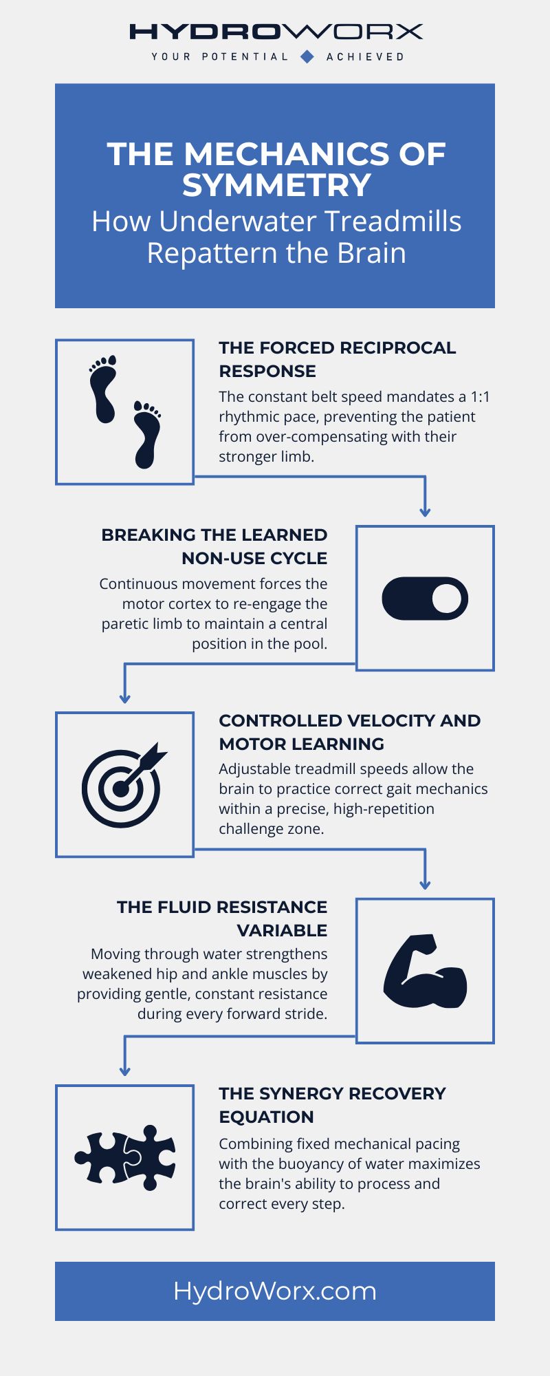 The Mechanics of Symmetry: How Underwater Treadmills Repattern the Brain infographic