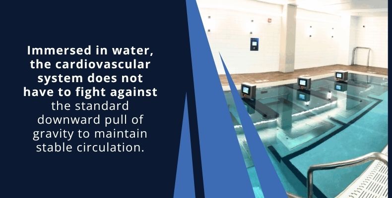 Immersed in water, the cardiovascular system does not have to fight against the standard downward pull of gravity to maintain stable circulation.