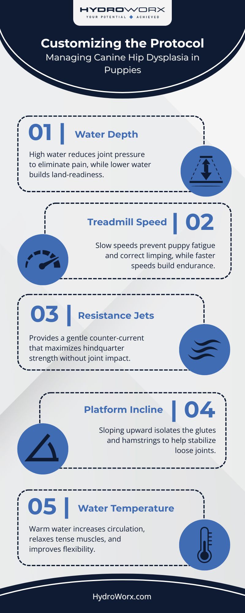Customizing the Protocol infographic